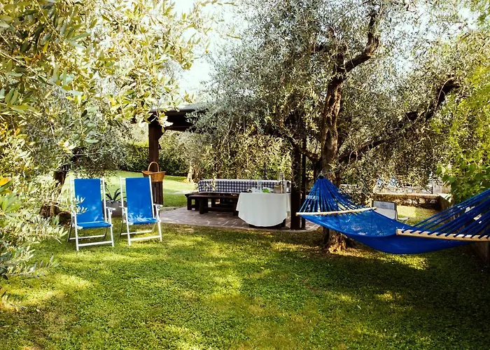 Experience! Marone